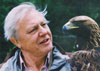 David Attenborough